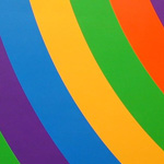 Video Budidaya Ayam Broiler di Sleman