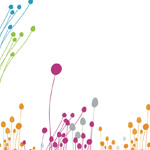 Video budidaya ayam pedaging, Kaliangkrik, Magelang, Jateng