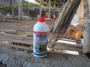 Pemberian suplemen organik vittoterna pada minuman untuk meningkatkan kekebalan, menekan angka kematian, memacu pertumbuhan dll