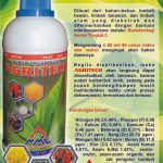 AGRITECH – Nutrisi Tanaman Lengkap