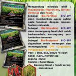 BIO-SPF  (Nutrisi dan Proteksi Tanaman)