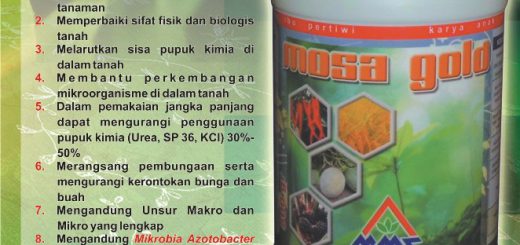 MOSA GOLD merupakan hasil ekstraksi murni dari bahan-bahan organik yang diproses melalui proses Tegnologi Deposiasi. MOSA GOLD merupakan produk pupuk organik padat yang mudah dalam mengaplikasikannya untuk pertanian, mudah larut dalam air, mudah diserap oleh tanaman, meningkatkan kesuburan tanah. MOSA GOLD juga mampu melarutkan dan mempermudah nutrisi yang telah terjerab/terikat ditanah yang sebelumnya sulit bahkan tidak tersedia untuk tanaman menjadi mudah dan bisa diserap dan dimanfaatkan oleh tanaman. Selain berisi nutrisi yang dibutuhkan oleh tanaman juga mengandung mikrobia pendukung yang dibutuhkan dan berguna dalam dunia pertanian
