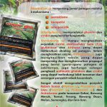 SUPER GLIO – Fungisida Organik Super