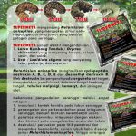 SUPERMETA – Agens Biologi Sahabat Perkebunan