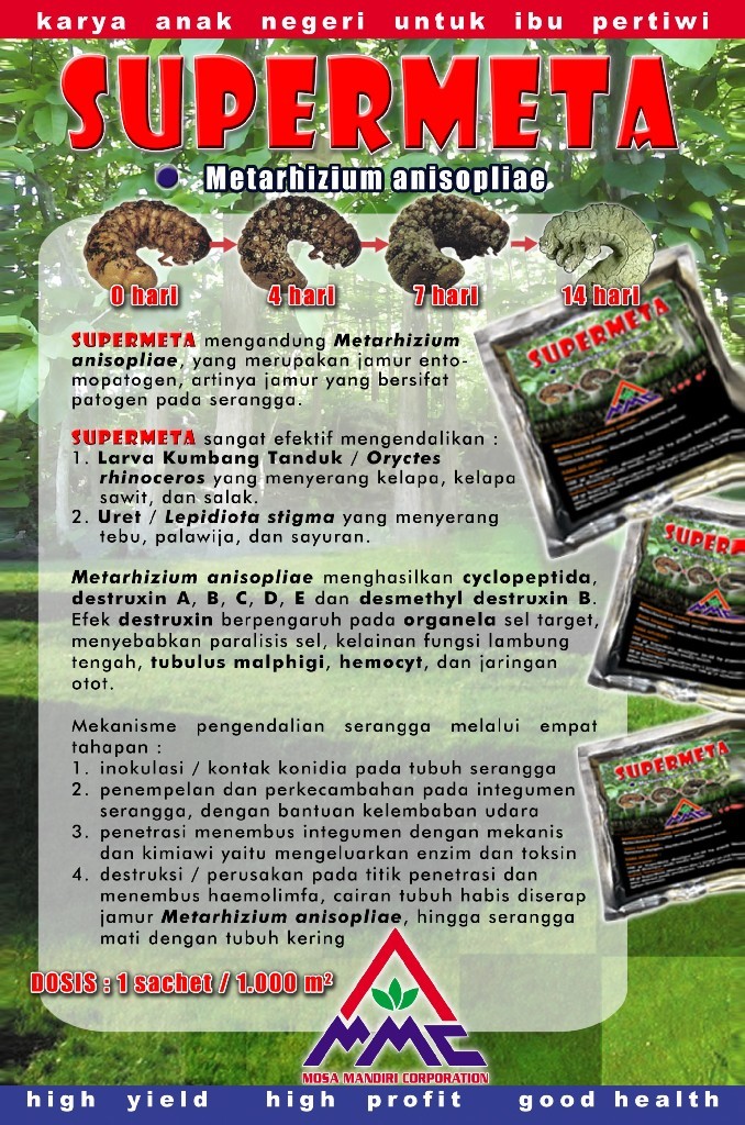Pestisida biologi SUPERMETA mengandung Metarhizium anisopliae, yang merupakan jamur entomopatogen, artinya jamur yang bersifat patogen pada serangga.