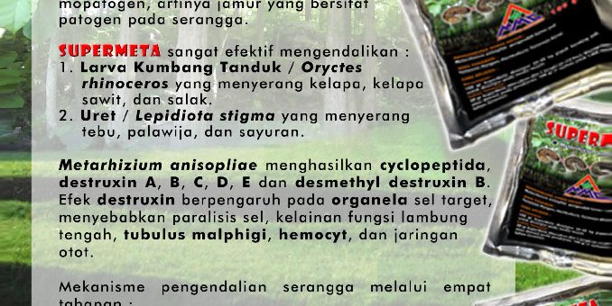 Pestisida biologi SUPERMETA mengandung Metarhizium anisopliae, yang merupakan jamur entomopatogen, artinya jamur yang bersifat patogen pada serangga.
