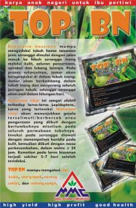 TOP BN merupakan pestisida biologi yang mengandung spora: Nomuraea rileyi, Beauveria bassiana