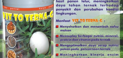 VIT TO TERNA - G - suplemen organik bagi unggas petelur