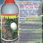 VITTOTERNA-G – Nutrisi Khusus Unggas Petelur