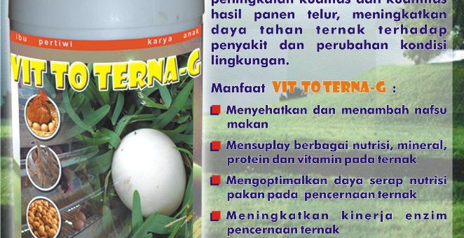 VIT TO TERNA - G merupakan salah satu pemecahan masalah yang dihadapi untuk menghasilkan telur yang baik. Didalamnya terkandung nutrisi / mineral yang bisa diserap unggas petelur, mengandung mikrobia yang dapat memaksimalkan penyerapan nutisi dari pakan, meningkatkan daya tahan unggas petelur terhadap penyakit dan perubahan cuaca, merangsang pengubahan nutrisi yang diserap untuk dihasilkan menjadi telur. Memaksimalkan daya serap nutrisi, penambahan nutrisi / mineral selain dari pakan yang diberikan, meningkatkan daya tahan unggas petelur terhadap penyakit dan cuaca merupakan bagian yang tak bisa ditinggalkan untuk mengoptimalkan unggas petelur dalam menghasilkan telur yang baik kualitas maupun kuantitasnya.