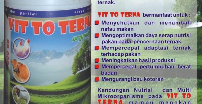 VIT TO TERNA adalah suplemen untuk ternak yang terbuat dari bahan yang berkualitas, mengandung nutrisi Asam-asam amino essensial, mineral-mineral dan vitamin-vitamin, serta mikrobia pendukung pencernaan ternak seperti mikrobia asam laktat, mikrobia selulotik, mikrobia amilolitik. Selain menambah nutrisi secara langsung, VIT TO TERNA akan mengoptimalkan pakan yang diberikan pada ternak untuk dirubah menjadi daging / telur, energi / kalori dan meningkatkan daya tahan ternak terhadap serangan penyakit.