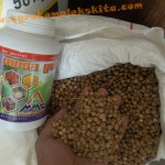 Panen Hanjeli dengan pupuk MMC siap untuk diselep (di penggilingan beras)