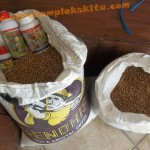 Panen Hanjeli dengan pupuk MMC siap untuk diselep (di penggilingan beras)