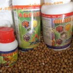 Panen Hanjeli dengan pupuk MMC