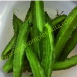 Bercocok tanam kecipir, tanaman sayur alternatif pengisi lahan