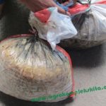 Semua bahan setelah dicampur ditutup rapat dalam karung, simpan sampai beberapa kurang lebih 1 minggu