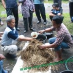 Semua bahan dicampur, diberi Tetes campuran tetes tebu+vittoterna+air secukupnya