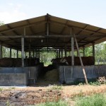 Model kandang penggemukan sapi terpadu