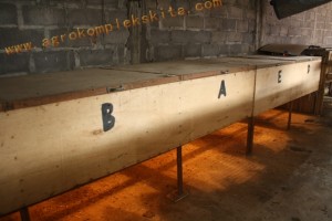 Box pembesaran DOC ayam jowo super