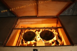 Box pembesaran untuk DOC Jawa Super - umur 1 hari sd 14 hari - 1 box sekitar 100 DOC