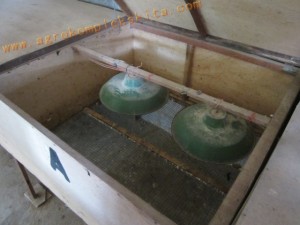 Ayam jawa super - panen usia 60 Hari dengan pemberian vittoterna