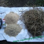 Alternatif bahan - dengan jerami kering, gabah, tetes tebu, vittoterna dan bekatul