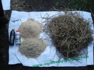 Alternatif bahan - dengan jerami kering, gabah, tetes tebu, vittoterna dan bekatul