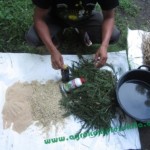 Alternatif bahan - dengan rumput atau sisa panenan padi, gabah, tetes tebu, vittoterna dan bekatul