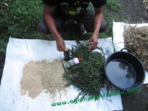 Alternatif bahan - dengan rumput atau sisa panenan padi, gabah, tetes tebu, vittoterna dan bekatul