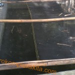 Kolam lele model bak semen ukuran 1,5 x 3 x 1 meter untuk 1500 ekor lele