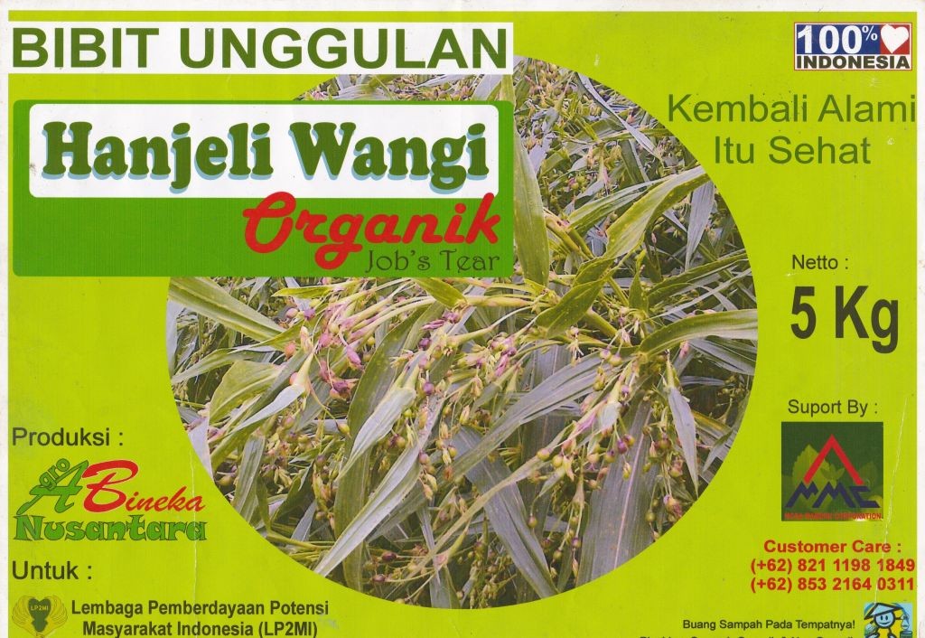 Contoh produksi Hanjeli yang sudah dipasarkan