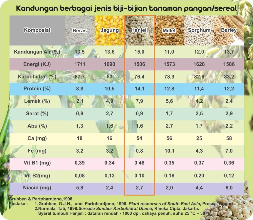 Potensi Hanjeli ; komposisi berbagai biji sereal-hanjeli tepung berprotein dan berkalsium tinggi