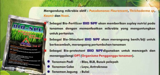 Mengandung Mikrobia aktif : Pseudomonas Flourencent, Thrichoderma sp, Kasmir dan Yeast. Sebagai Bio fertiliszer; memberikan suplai nutrii pada tanaman dan memanfaatkan mikrobia yg menguntungkan untuk pertanian. Sebagai Bio-Stimulant; akan merangsang benih/biji untuk berkecambah, merangsang pertumbuhan tanaman. Sebagai Bio-protectant; digunakan untuk mencegah dan menanggulangi OPT (Organisme pengganggu tanaman); Blas, BLB, busuk pelepah (pada padi), Layu, antraknosa (pada cabe), bulai (pada jagung), karat daun (pada kedelai), pucuk kering, antraknosa (pada bawang merah)