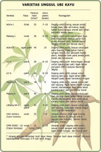 varietas unggulan singkong