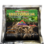 Peranan Rhizobium Pada budidaya Kedelai