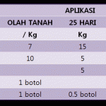 Beberapa Model dan Alternatif Pemupukan pada Padi