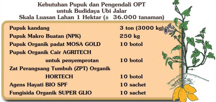 Pupuk organik padat/ fermentasi pupuk kandang, 3 ton (3000 kg) Pupuk Makro NPK 250 kg Pupuk Organik padat MOSA GOLD 10 botol Pupuk Organik Cair, untuk penyemprotan AGRITECH 10 botol Zat Perangsang Tumbuh (ZPT) Organik HORTECH 10 botol Agens Hayati BIO SPF 10 sachet Fungisida Organik SUPER GLIO 10 sachet