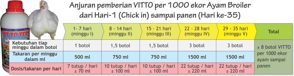 Panduan pemberian vitto untuk budidaya ayam broiler