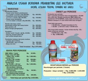 analisa usaha budidaya pembibitan lele mutiara model kolam terpal - panen 60 hari