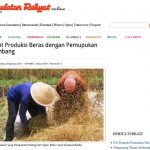 Genjot Produksi Beras dengan Pemupukan Berimbang