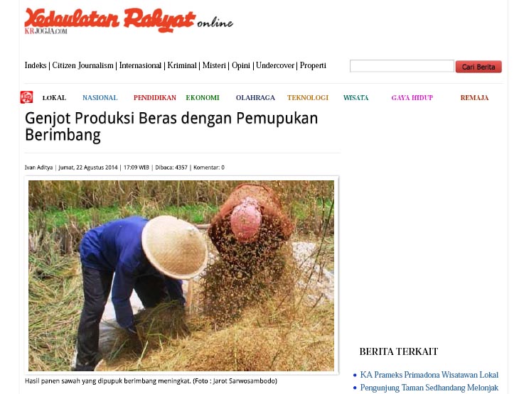 kedaulatan rakyat - genjot produksi beras dengan pemupukan berimbang