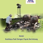 Modul budidaya padi (Oriza sativa) dengan pupuk berimbang