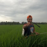 Salah satu petani yang ikut andil mengaplikasikan TOP BN untuk pengendalian hayati hama wereng