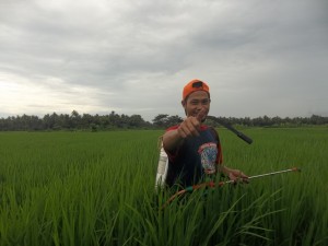 Salah satu petani yang ikut andil mengaplikasikan TOP BN untuk pengendalian hayati hama wereng