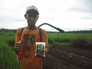 Salah satu petani yang ikut andil mengaplikasikan TOP BN untuk pengendalian hayati hama wereng