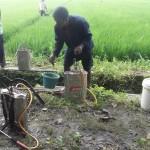 Salah satu petani yang ikut andil mengaplikasikan TOP BN untuk pengendalian hayati hama wereng