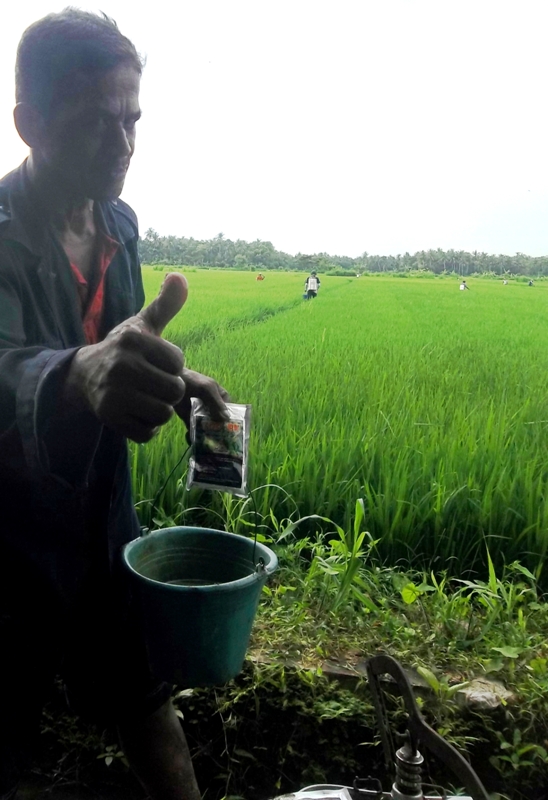 Salah satu petani yang ikut andil mengaplikasikan TOP BN untuk pengendalian hayati hama wereng