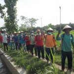 Gerakan massal pengendalian hayati hama wereng dengan TOP BN pada tanaman padi