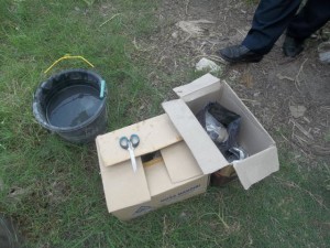 Gerakan massal pengendalian hayati hama wereng dengan TOP BN pada tanaman padi