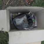 Gerakan massal pengendalian hayati hama wereng dengan TOP BN pada tanaman padi